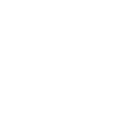 pacelabs logo